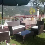 Pellegrino *