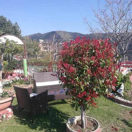 Villa Pellegrino